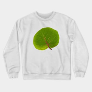 Seagrape Crewneck Sweatshirt